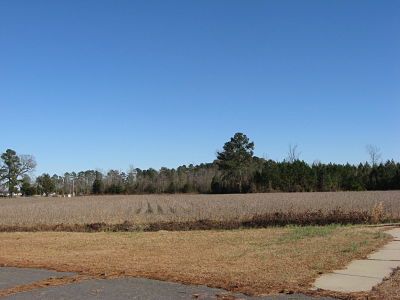 The field at Bentonville where the 38th Indiana was deployed — just in front of the trees at the opening of the Battle of Bentonville