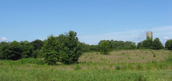 The ridge where General Forrest paraded his outnumbered troops to deceive Colonel Streight