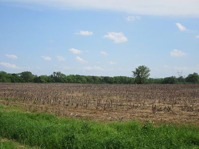 The field at Stones River where three Wallick soldiers retreated